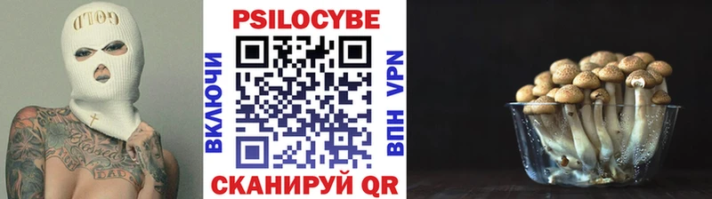 Галлюциногенные грибы Cubensis Горнозаводск